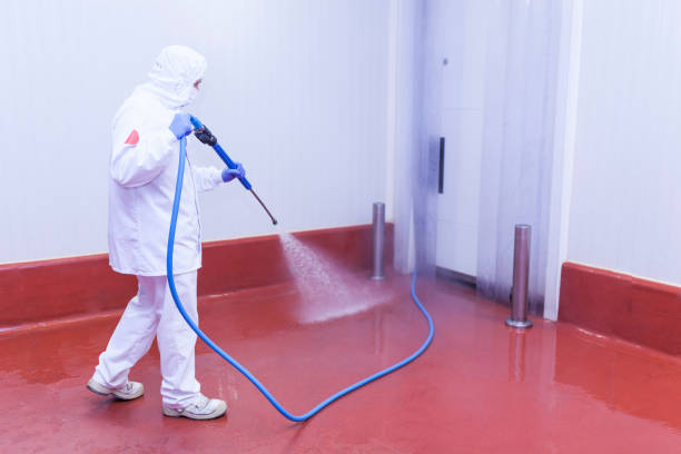 Reliable Happy Valley, CA Pressure Washing Services Solutions